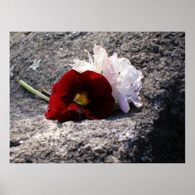 Póster Rojo-n-blanco (Frente)