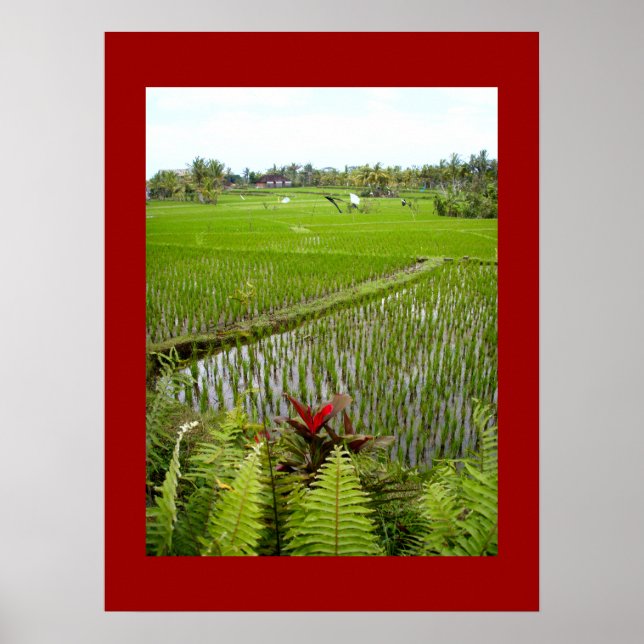 Póster Rojo poster (18" x 24") El Ubud Bali floreciente (Frente)