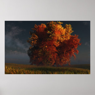 Póster Rojo y oro