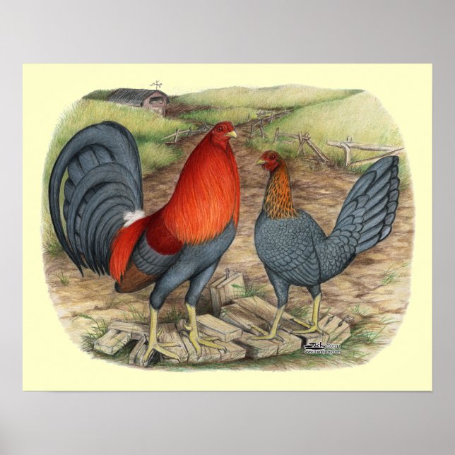 Póster Rojos azules de juego americano (Frente)