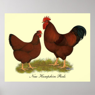 Póster Rojos de New Hampshire