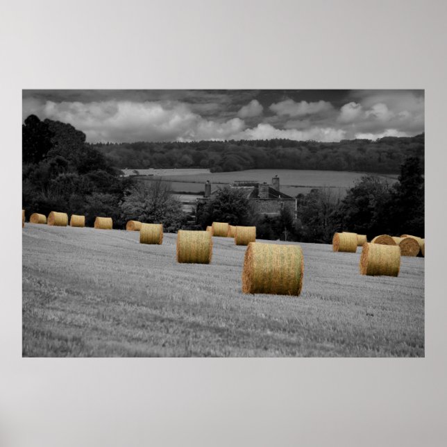 Póster Rolling Home (Frente)