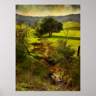 Póster Rolling Oaks Print
