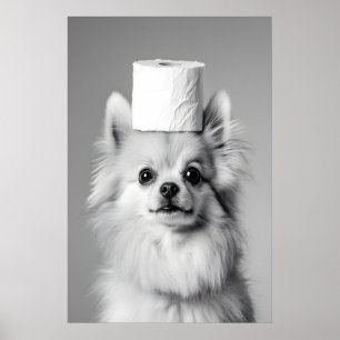 Póster Rollo de papel higiénico de Pomerania, Baño divert