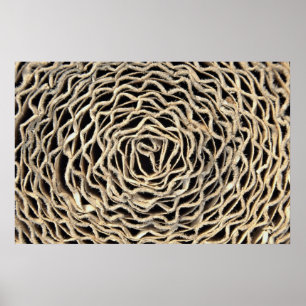 Póster Rollo de papel ondulado