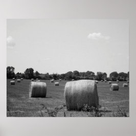 Póster Rollos de heno blanco y negro dispersos en una gra