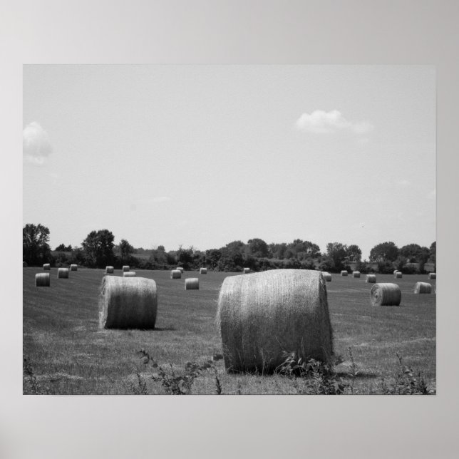Póster Rollos de heno blanco y negro dispersos en una gra (Frente)