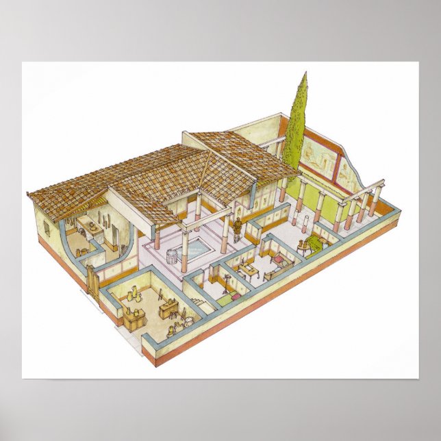 Póster Roma. Domus (Frente)