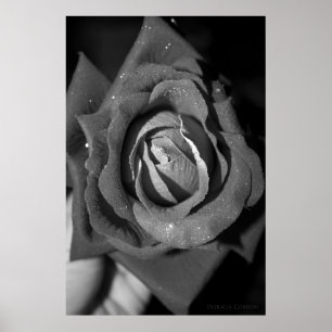 Póster Romance