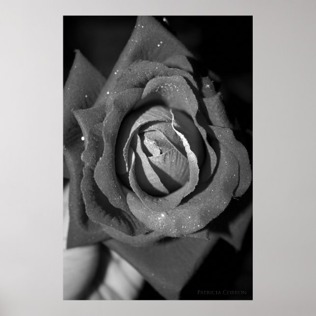 Póster Romance (Frente)