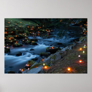 Póster Romance - bosque mágico