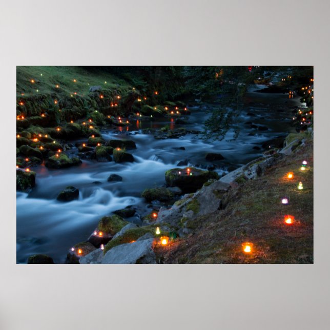 Póster Romance - Bosque mágico (Frente)