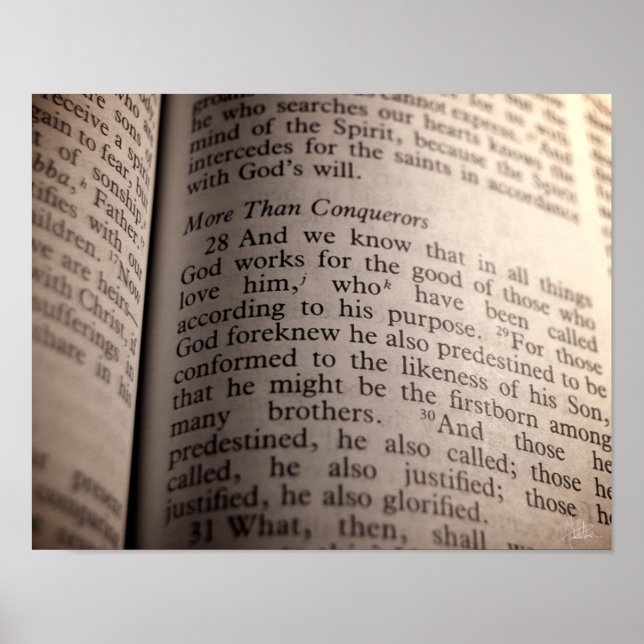 Póster Romanos 8:28 [Imprimir] (Frente)