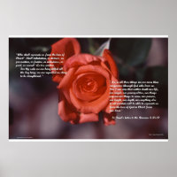 Romanos 8 Rosas