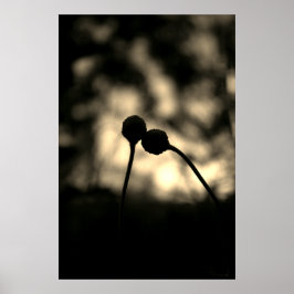 Póster Romantic Moody Flowers – Botanical Fantasy Boho