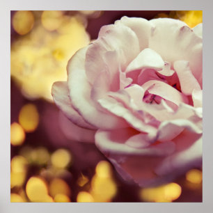 Póster Romantic Pink Rose and Golden Yellow Bokeh