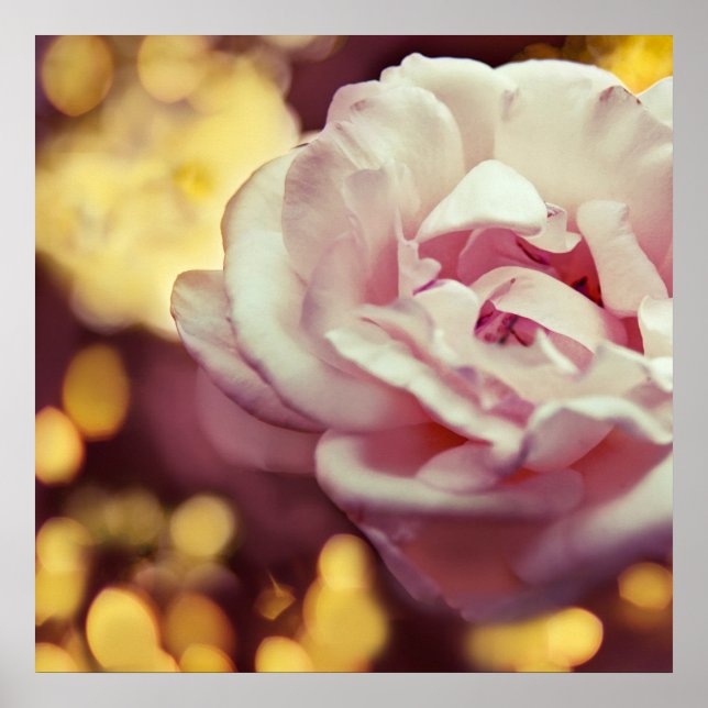 Póster Romantic Pink Rose and Golden Yellow Bokeh (Frente)