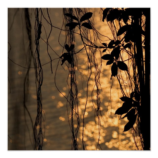 Poster Romantic Sunset (Anverso)