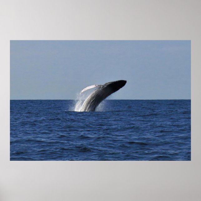 Póster Rompiendo el Humpback (Frente)