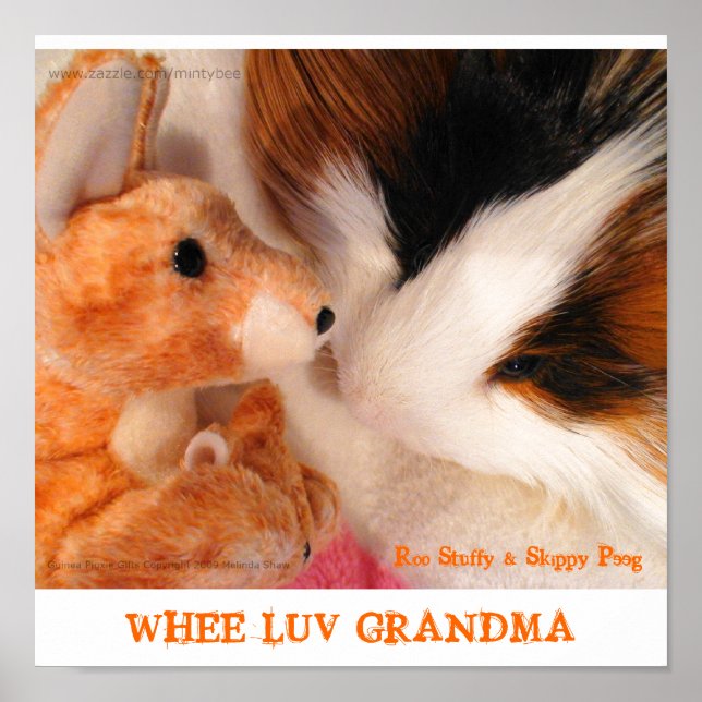 Póster Roo Stuffy & Skippy Peeg Poster (Frente)