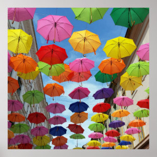 Póster Roof of umbrellas