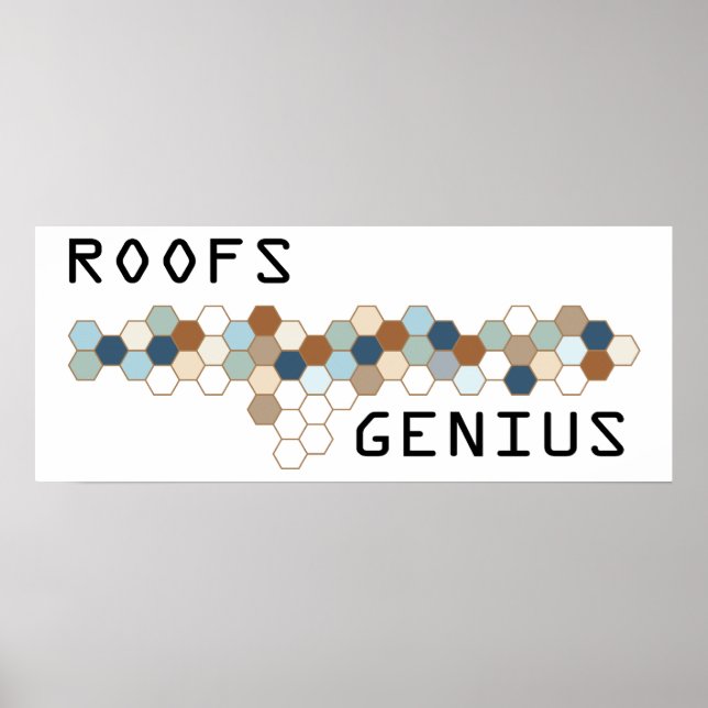 Póster Roofs Genius (Frente)