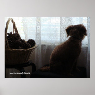 Póster Rookie Waits