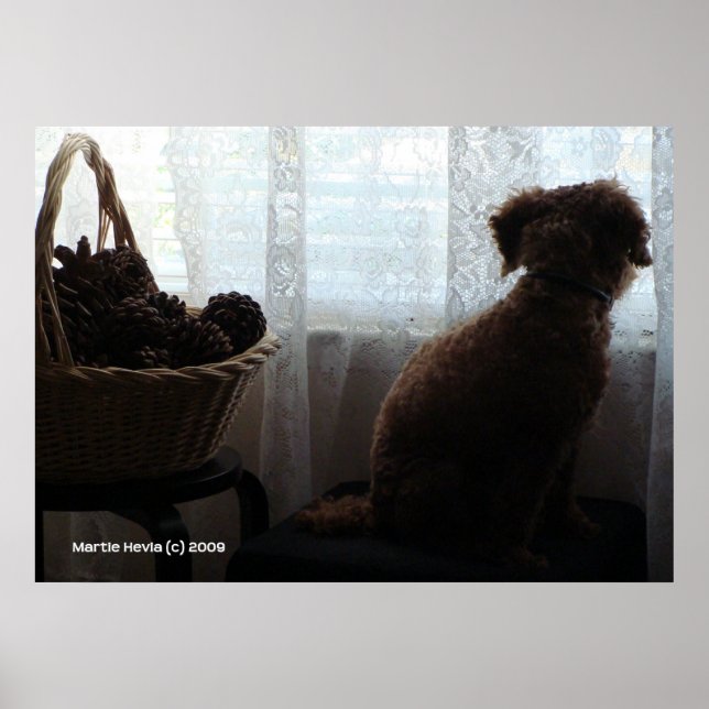 Póster Rookie Waits (Frente)