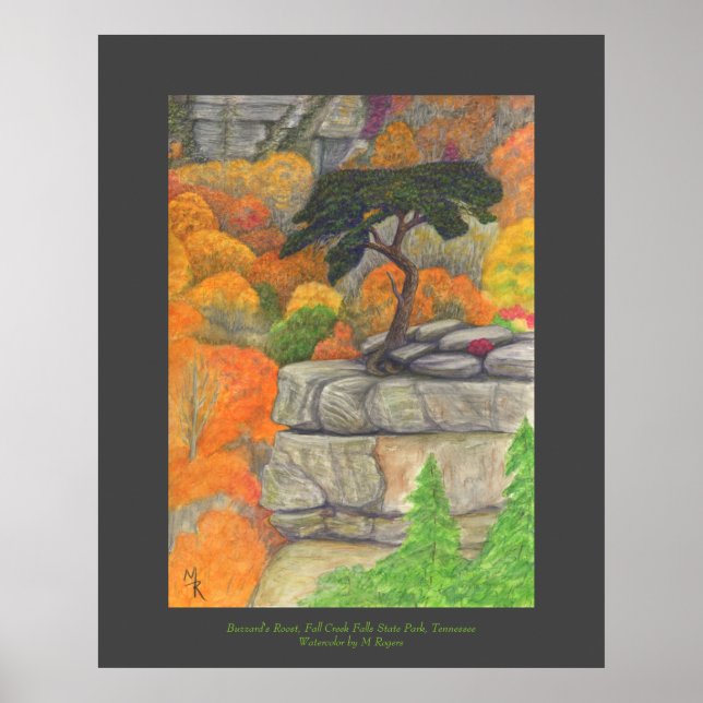Póster Roost de Buzzard - Cae el parque estatal del Creek (Frente)
