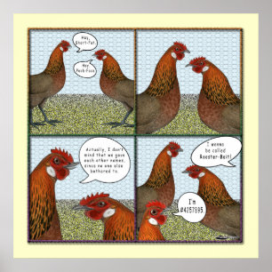 Póster Rooster Bait