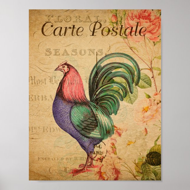 Póster Rooster de época (Frente)