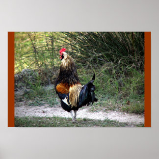 PÓSTER ¡ROOSTER DE TRABAJO DE PARCHES!