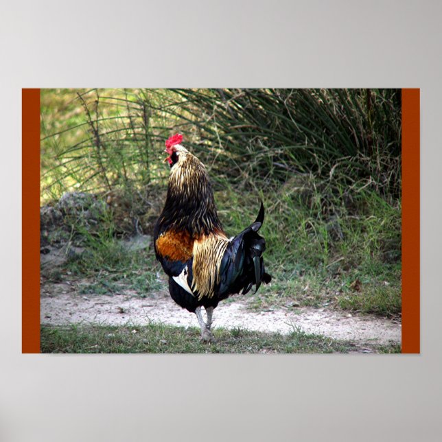 PÓSTER ¡ROOSTER DE TRABAJO DE PARCHES! (Frente)