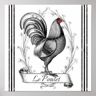 Póster Rooster francés Le Poulet