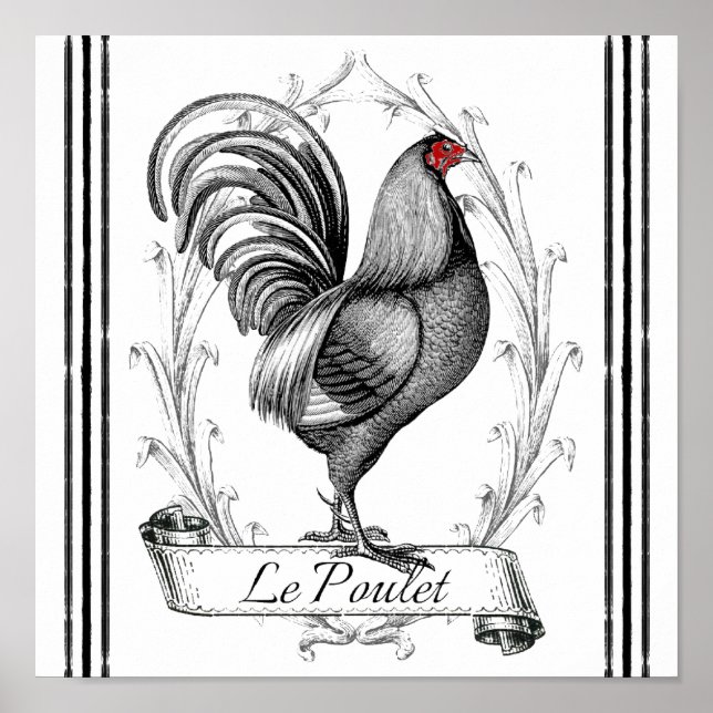 Póster Rooster francés Le Poulet (Frente)