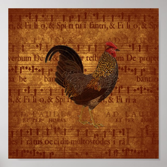 Póster Rooster musical (Frente)