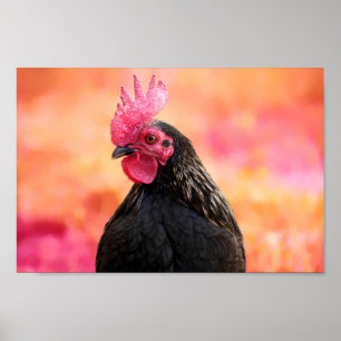 Póster Rooster negro