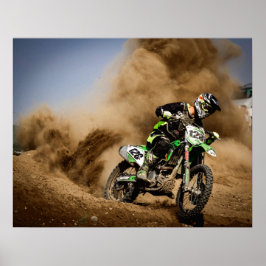 Póster Rooster Tail