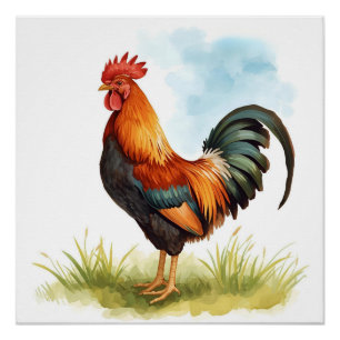 Póster Rooster Watercolor