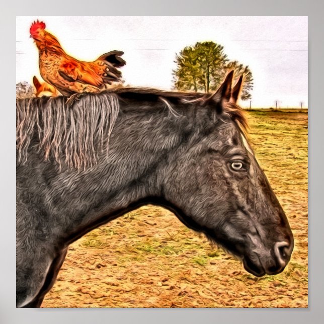Póster Rooster Y Amigos De Caballos (Frente)
