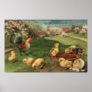 Póster Rooster y chichas
