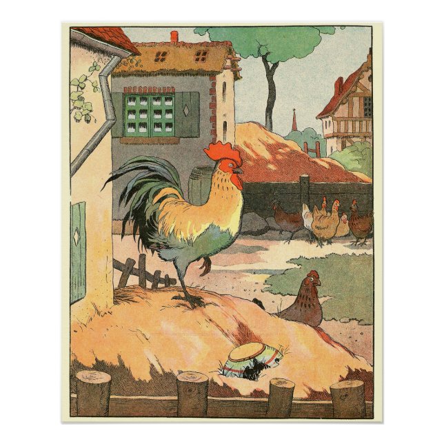 Póster Rooster y gallinas en el jardín de la granja (Anverso)