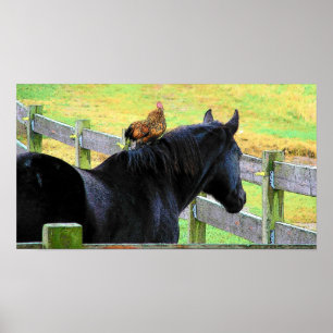 Póster Rooster y Mare