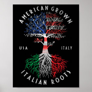 Póster Roots italianos cultivados estadounidenses Bandera