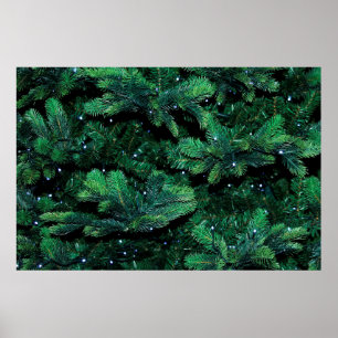 Póster Ropa de árbol de Navidad de pino