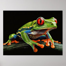 Póster Ropa de ojos rojos