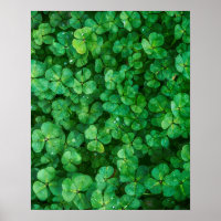 Ropas verdes con gotitas de agua