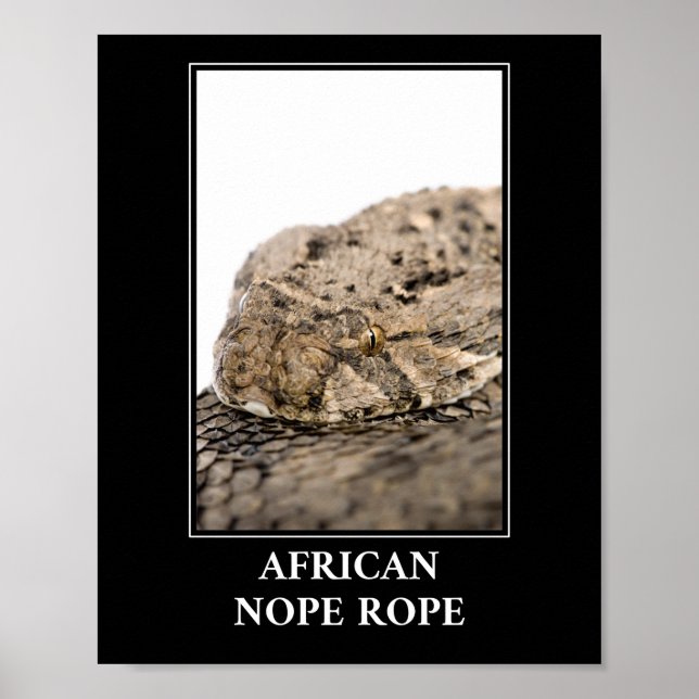 Póster Rope africano de no-pepitas - Peligro de serpiente (Frente)