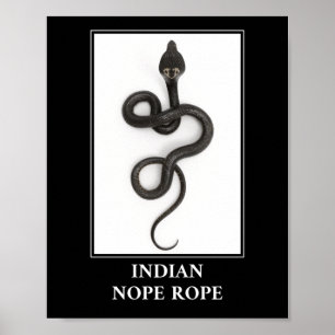 Póster Rope indio - Peligro de serpiente Cobra