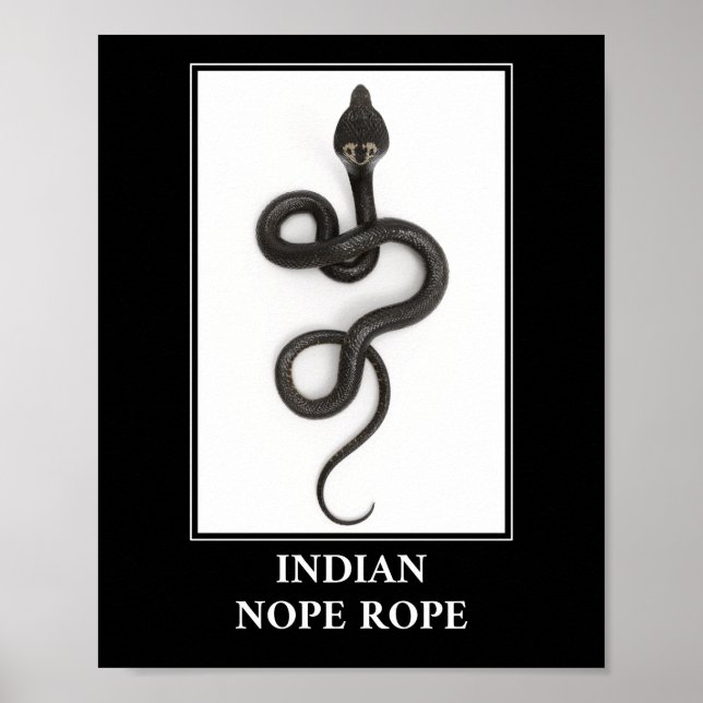 Póster Rope indio - Peligro de serpiente Cobra (Frente)